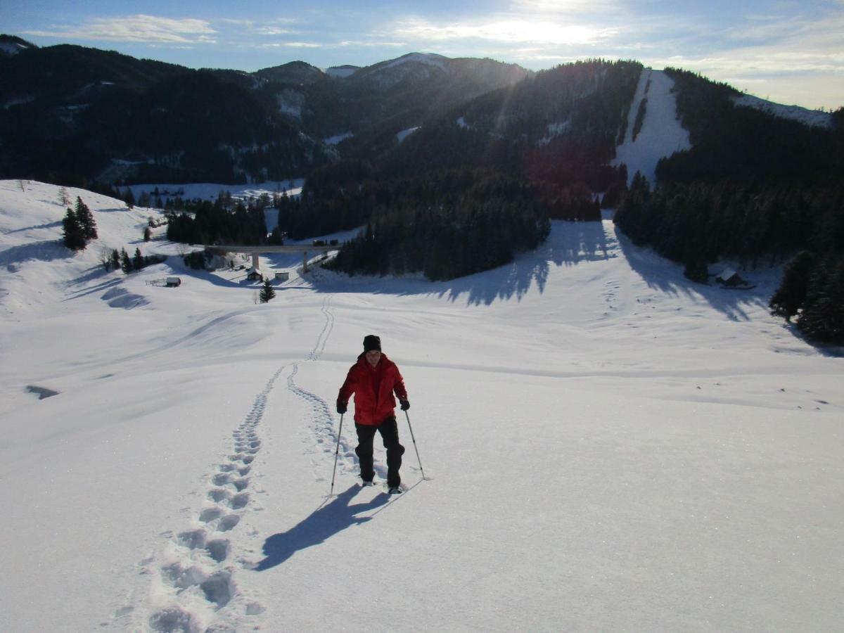 Almgasthaus Seebergalm Turnau Eksteriør bilde
